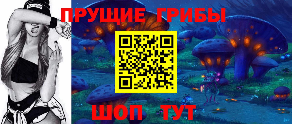 Галлюциногенные грибы Psilocybe Майский