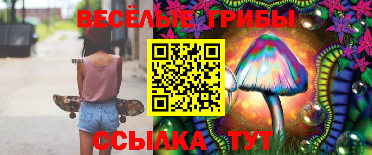 Майский  Псилоцибиновые грибы Psilocybine cubensis  Вход с VPN 